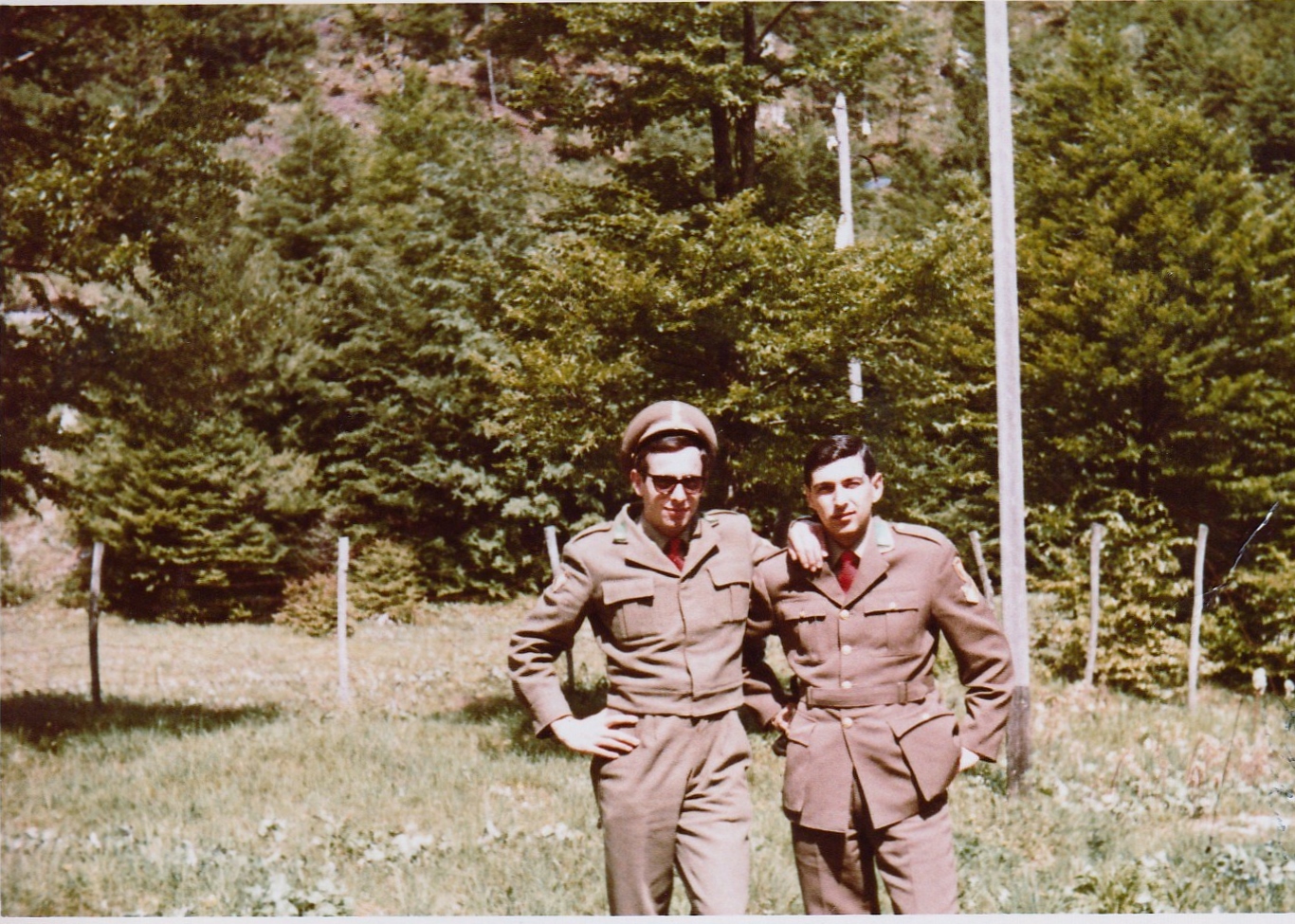 Veronesi 072019